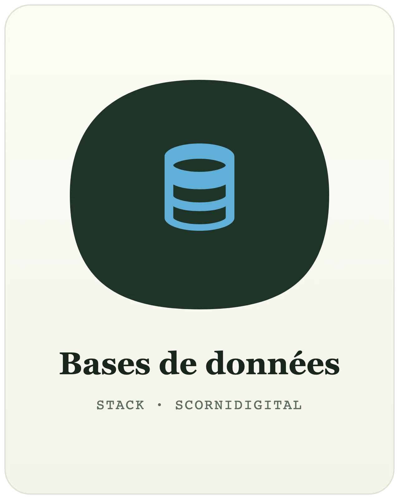 Développement bases de données par Scornidigital Logo bases de données — SQL et NoSQL pour stocker vos données, technologie utilisée par le studio web Scornidigital à Gembloux.